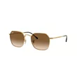 Ray-Ban naočare 0RB3694 001/51